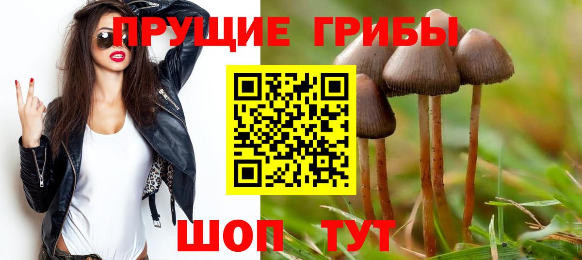 Краснознаменск  Галлюциногенные грибы прущие грибы  Вход с VPN 