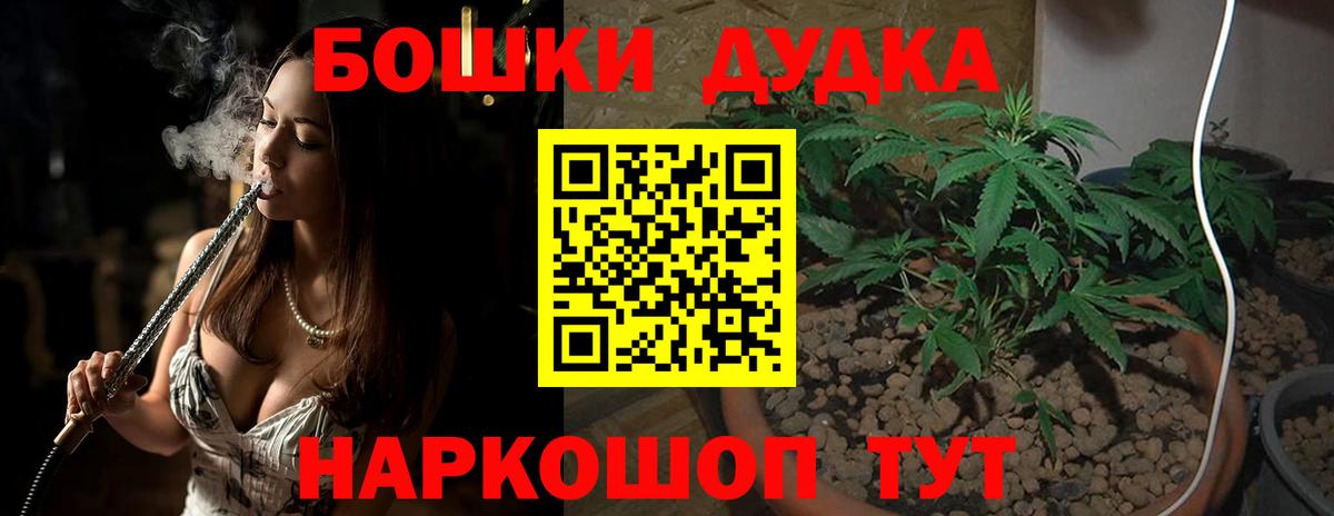 Марихуана сатива Краснознаменск